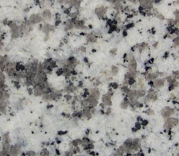 Chinese G439 bianco sardo white granite