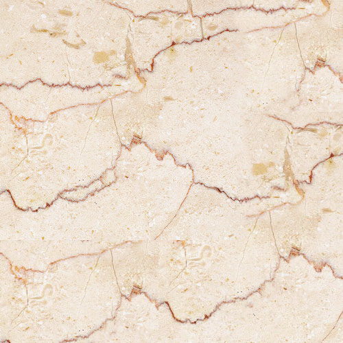 Chinese shell beige marble tile
